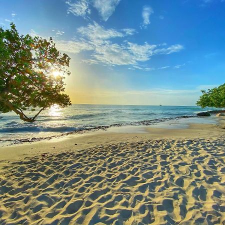 Palm Beach Paradise Vacation Rental Buitenkant foto