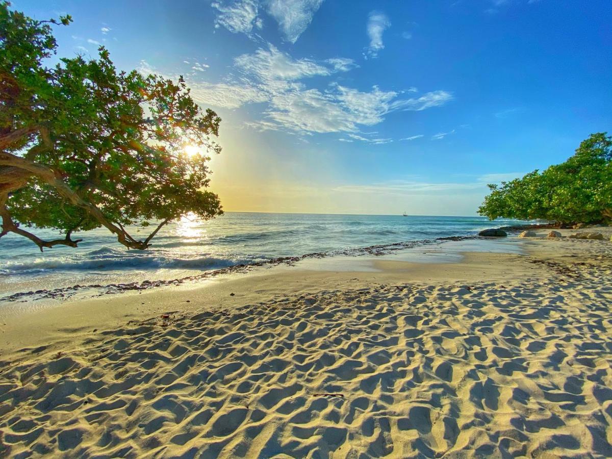 Palm Beach Paradise Vacation Rental Buitenkant foto